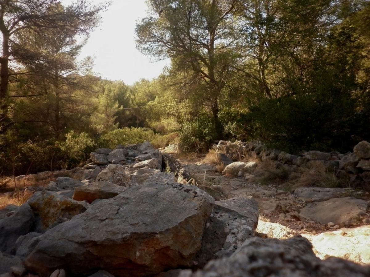Casa Crystal Διαμέρισμα Γιαβέα Εξωτερικό φωτογραφία